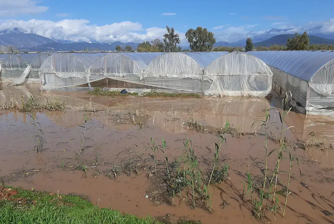 Sağanak ve Hortum Sera ve Narenciyeleri Vurdu 7
